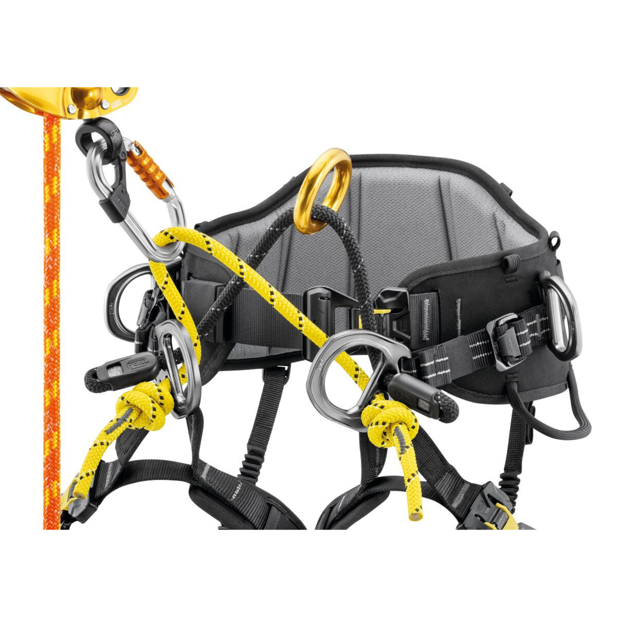Petzl Sequoia zit harnas voor boomverzorging met dubbele touw aansluiting